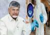 No Need for Panic Over HMPV Virus – CM Chandrababu