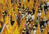 TDP Creates History: Membership Crosses One Crore Mark