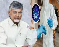 No Need for Panic Over HMPV Virus – CM Chandrababu