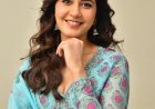 Ustaad Bhagat Singh Is a Complete Family Entertainer - Raashii Khanna