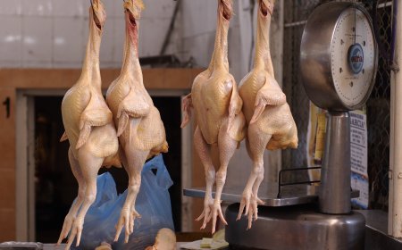 చికెన్ షాపులు మూతపడుతున్నాయా..?