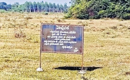 నెల్లూరులో సీలింగ్ భూములపై కబ్జా మాఫియా