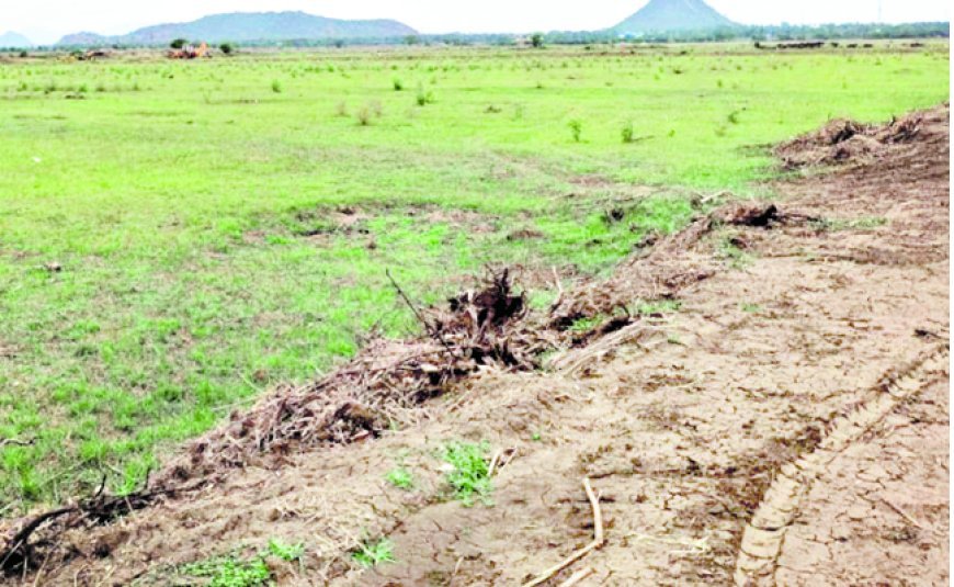 ఆవ భూముల మాయాజాలం.. పేదల పేరుతో కోట్ల దోపిడి!