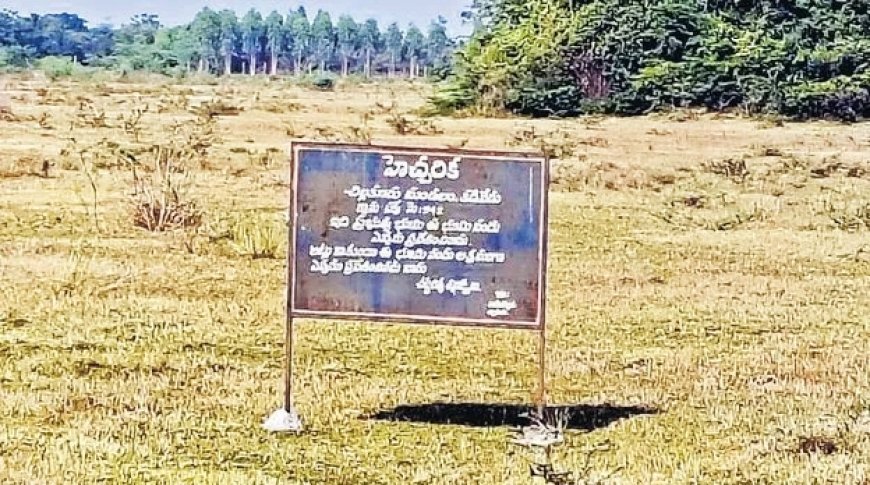 నెల్లూరులో సీలింగ్ భూములపై కబ్జా మాఫియా