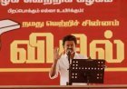 Vijay’s TVK Makes Historic Sweep in Tamil Nadu Election