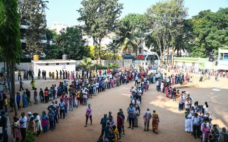 Survey Claims Under Scrutiny After Election Misses