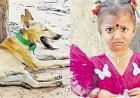 Big Twist in Tuni Missing Toddler Case