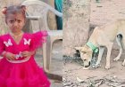 High Court Seeks Report on Missing Girl