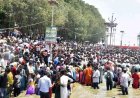 Nellore Rottela Panduga Begins