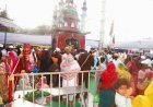 Rottela Panduga Begins in Nellore