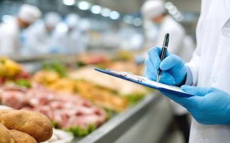 Food Safety Raids Expose Hygiene Lapses