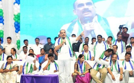 YSRCP Leaders Meet Governor Over Key Issues