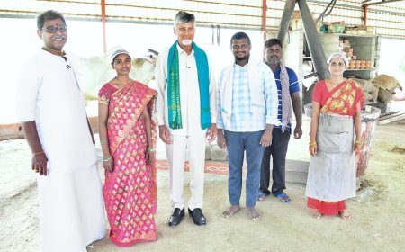 Naidu Applauds Natural Farming in Palnadu