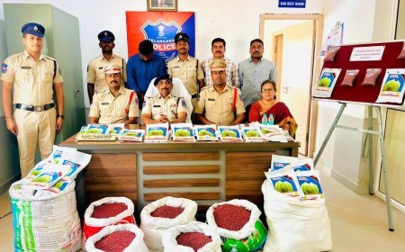 Fake Cotton Seed Racket Busted