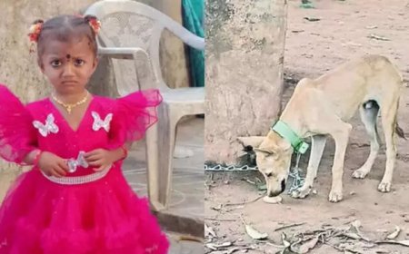 High Court Seeks Report on Missing Girl