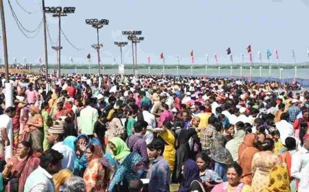 నేటి నుంచి నెల్లూరులో వైభవంగా రొట్టెల పండుగ