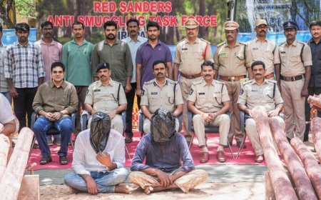 Pawan Targets Red Sanders Smuggling