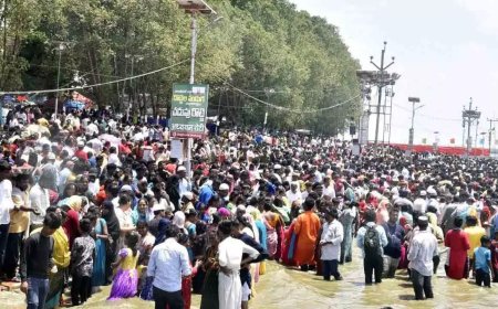 Nellore Rottela Panduga Begins