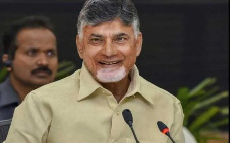 AI Video Wins CM's Praise