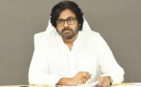 Pawan Orders Elephant Safety Measures