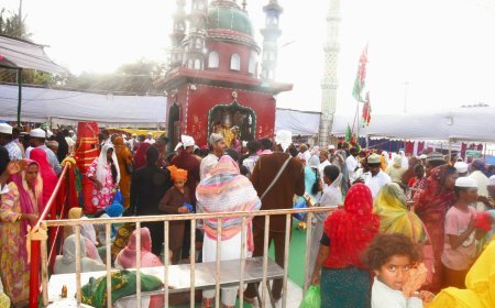 Rottela Panduga Begins in Nellore