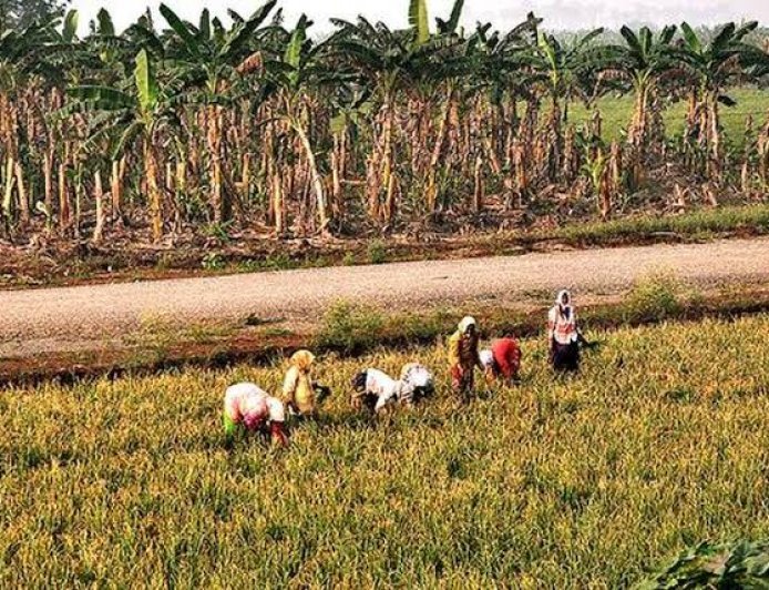 Penumaka Farmers Demand Justice