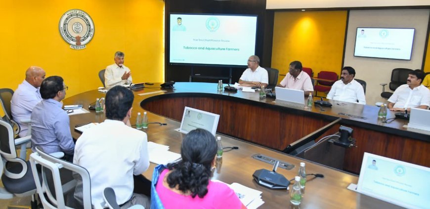 Naidu Focuses On Growth And Welfare