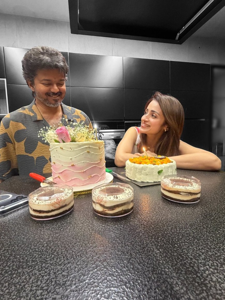 Trisha’s Birthday Wish for Vijay Goes Viral