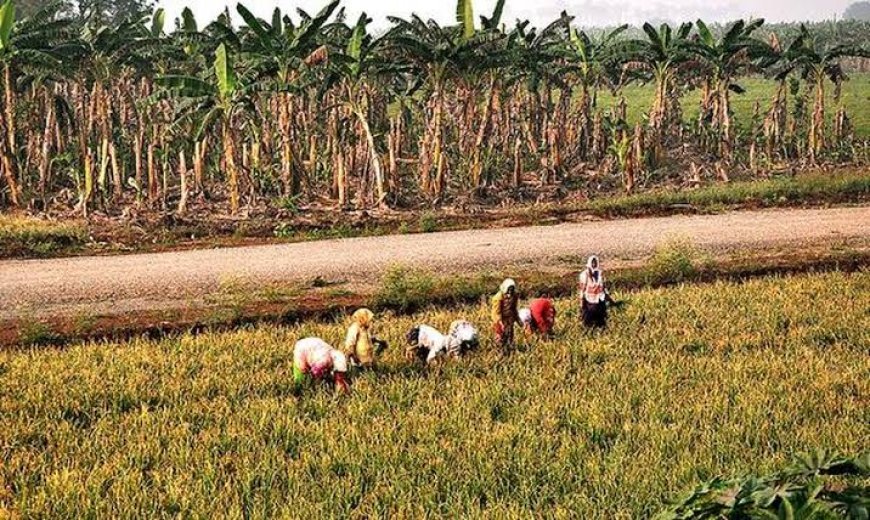 Penumaka Farmers Demand Justice