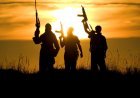 Centre Declares 23 as Terrorists