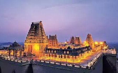 Surakha Named to Yadagirigutta Temple Trust Board