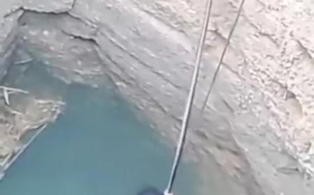 Woman Survives Well After Robbery