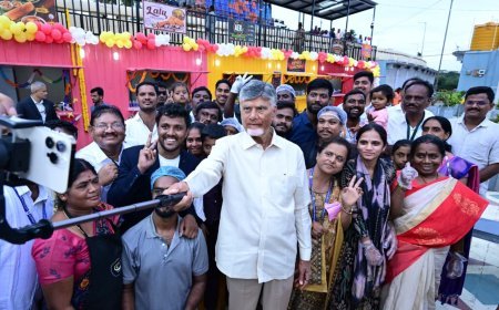 Naidu Distributes Land Pattas
