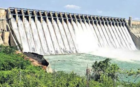 Godavari Waters Reach Sagar Ayacut