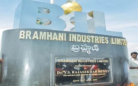 Brahmani Steels Land Row Returns