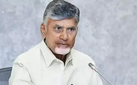 Local Body Polls After SIR