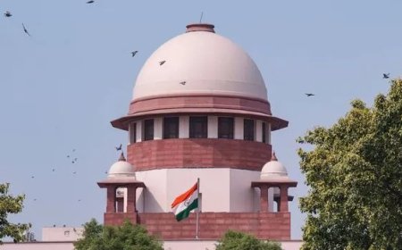 SC Clarifies Citizenship and Voters