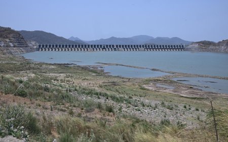 Polavaram Mishap Claims Engineer's Life