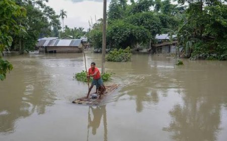 Assam Floods Inundate 631 Villages