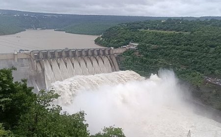 Srisailam Inflows Continue To Rise