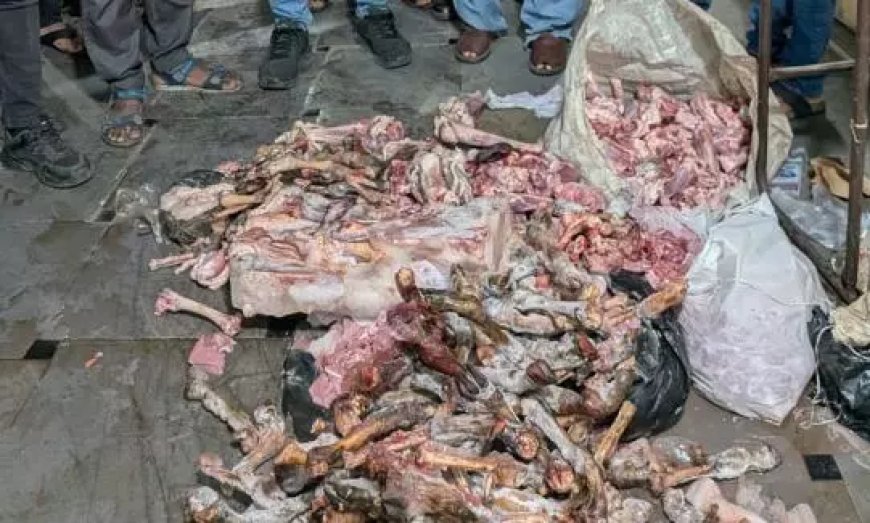 Hyderabad Meat Adulteration Racket Busted
