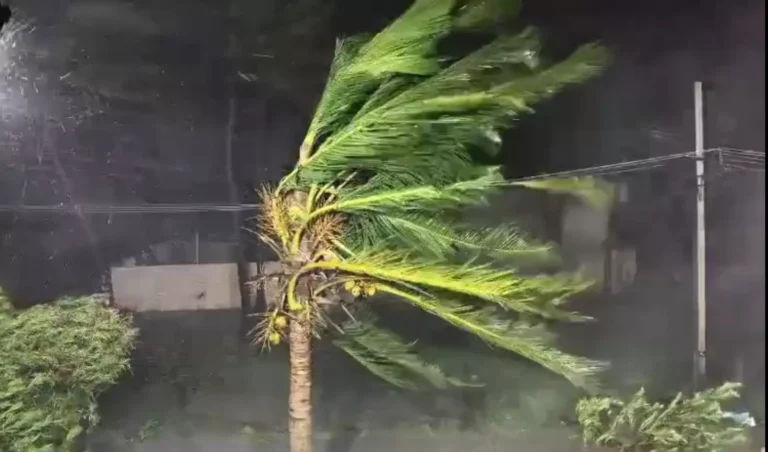 అర్నబ్ తుపాను బీభత్సం.. ఏపీ తీరంలో విలయతాండవం